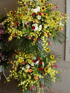 VIPn`HYPER@KING`@X^h2i@RT-ST2-2063@jEJXEaEEV[[Ef[Ȃǂ̌jɁISz\I15܂ł̂œzoGA