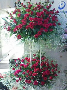 red rose&kasumi`^ƏMƂ̊ԂɁ`@X^h2i@RT-ST2-2070@jEJXEaEEV[[Ef[Ȃǂ̌jɁISz\I15܂ł̂œzo