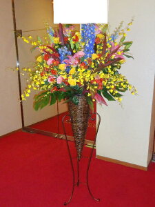 artst-035@vɂCI@R[X^h1i