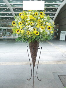 artst-037@CG[zCgn@R[X^h1i