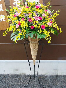 artst-025@vɂCI@R[X^h1i