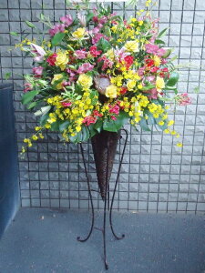 artst-015@vɂCI@R[X^h1i