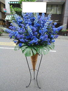 artst-019@u[n@R[X^h1i