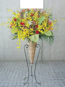 artst-018@vɂ܂I@VIP@R[X^h1i