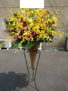 artst-023@vɂ܂I@S[WX@R[X^h1i