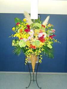 artst-009@썑n@R[X^h1i