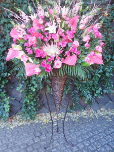 artst-008@R[X^h1i@sNn