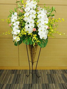 artst-006@R[X^h1i@VIPI܂