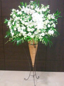 artst-017@R[X^h1i@zCgn