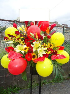 bst1-3038@bhCG[n@o[X^h1i@ n菤i@E_ސEʁEtiS≓NGBߗגnOKłx₢킹j