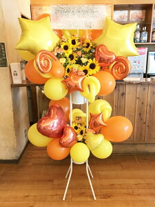 BST002@FIWn@A~o[@o[X^h2i n菤i@E_ސEʁEtiS≓NGBߗגnOKłx₢킹j