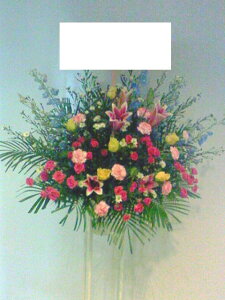 RT-ST1-0006@sNu[@X^h1i@jEJXEaEEV[[Ef[Ȃǂ̌jɁISz\I15܂ł̂œzoGA܂