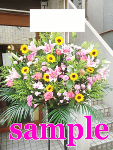 X^h1i Fwł܂@Fw̏ꍇ16500~ō`@lsEsE23EsEÉsEDysELsEs@ȂǌIzGAꗗK