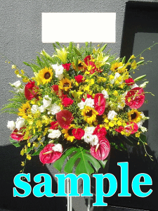 iX^h1i@jEJXEaEEV[[Ef[Ȃǂ̌jɁIGAI15܂ł̂œzoGA܂Biꕔ͂łȂG