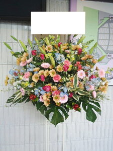 RT-ST1-0017@ColorMIX@X^h1i@jEJXEaEEV[[Ef[Ȃǂ̌jɁISz\I15܂ł̂œzoGA܂Biꕔ