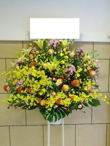 RT-ST1-0048@vɂC@X^h1i@jEJXEaEEV[[Ef[Ȃǂ̌jɁISz\I15܂ł̂œzoGA܂B