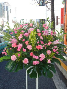 RT-ST1-0013@sNO[n@X^h1i@jEJXEaEEV[[Ef[Ȃǂ̌jɁISz\I15܂ł̂œzoGA