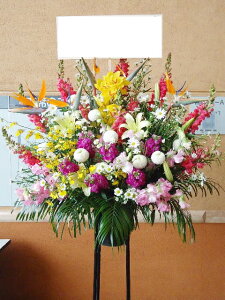 RT-ST1-0010@a@X^h1i@jEJXEaEEV[[Ef[Ȃǂ̌jɁISz\I15܂ł̂œzoGA܂Biꕔ