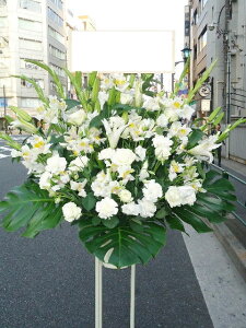 RT-ST1-0014@zCgn@X^h1i@jEJXEaEEV[[Ef[Ȃǂ̌jɁISz\I15܂ł̂œzoGA܂Bi