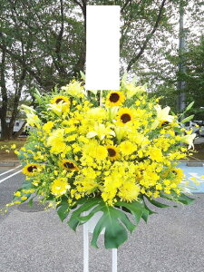 RT-ST1-0001@CG[n@X^h1i@jEJXEaEEV[[Ef[Ȃǂ̌jɁISz\I15܂ł̂œzoGA܂Bi