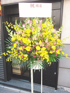 RT-ST1-0050@CG[sNn@X^h1i@jEJXEaEEV[[Ef[Ȃǂ̌jɁISz\I15܂ł̂œzoGA