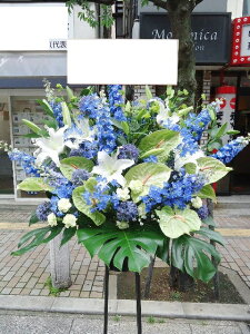 RT-ST1-0056@Fn@X^h1i@jEJXEaEEV[[Ef[Ȃǂ̌jɁISz\I15܂ł̂œzoGA܂Biꕔ