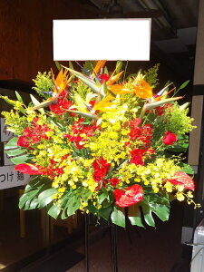 RT-ST1-0004@썑VIP@X^h1i@jEJXEaEEV[[Ef[Ȃǂ̌jɁISz\I15܂ł̂œzoGA܂Bi