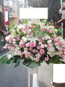 RT-ST1-0051@sNzCgn@X^h1i@jEJXEaEEV[[Ef[Ȃǂ̌jɁISz\I15܂ł̂œzoGA