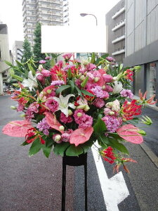 RT-ST1-0055@ZڃsN@X^h1i@jEJXEaEEV[[Ef[Ȃǂ̌jɁISz\I15܂ł̂œzoGA܂B