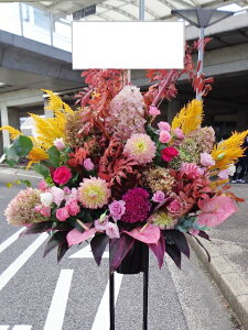 RT-ST1-0052@_@X^h1i@jEJXEaEEV[[Ef[Ȃǂ̌jɁISz\I15܂ł̂œzoGA܂Bi