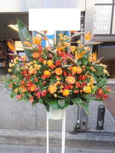 RT-ST1-0040@IWn@X^h1i@jEJXEaEEV[[Ef[Ȃǂ̌jɁISz\I15܂ł̂œzoGA܂Bi