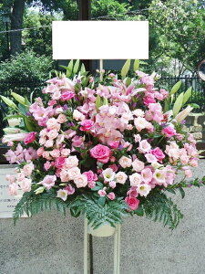 RT-ST1-0049@sNn@X^h1i@jEJXEaEEV[[Ef[Ȃǂ̌jɁISz\I15܂ł̂œzoGA܂Bi