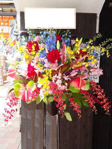 RT-ST1-0038@hMIXI@X^h1i@jEJXEaEEV[[Ef[Ȃǂ̌jɁISz\I15܂ł̂œzoGA܂Bi