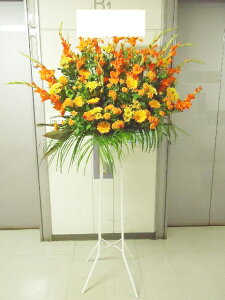 RT-ST1-0036@IWn@X^h1i@jEJXEaEEV[[Ef[Ȃǂ̌jɁISz\I15܂ł̂œzoGA܂Bi