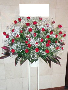 RT-ST1-0039@ԃoJX~\E@X^h1i@jEJXEaEEV[[Ef[Ȃǂ̌jɁISz\I15܂ł̂œzoGA