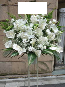 RT-ST1-0029@zCgn@X^h1i@jEJXEaEEV[[Ef[Ȃǂ̌jɁISz\I15܂ł̂œzoGA܂Bi