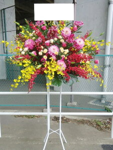 RT-ST1-0033@ōI_@X^h1i@jEJXEaEEV[[Ef[Ȃǂ̌jɁISz\I15܂ł̂œzoGA