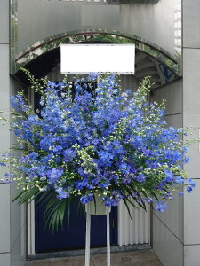 RT-ST1-0037@u[n@X^h1i@jEJXEaEEV[[Ef[Ȃǂ̌jɁISz\I15܂ł̂œzoGA܂Bi