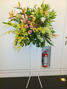 RT-ST1-0025@design@X^h1i@jEJXEaEEV[[Ef[Ȃǂ̌jɁISz\I15܂ł̂œzoGA܂Biꕔ