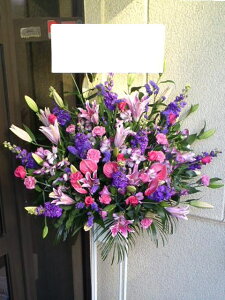 RT-ST1-0016@sNp[v@X^h1i@jEJXEaEEV[[Ef[Ȃǂ̌jɁISz\I15܂ł̂œzoGA