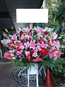 RT-ST1-0002@sNbh@X^h1i@jEJXEaEEV[[Ef[Ȃǂ̌jɁISz\I15܂ł̂œzoGA܂