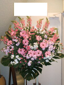 RT-ST1-0022@CgsN@X^h1i@jEJXEaEEV[[Ef[Ȃǂ̌jɁISz\I15܂ł̂œzoGA܂B