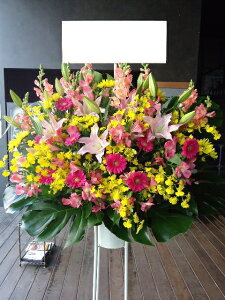 RT-ST1-0005@vɂC@X^h1i@jEJXEaEEV[[Ef[Ȃǂ̌jɁISz\I15܂ł̂œzoGA܂B