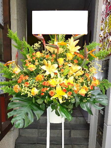 RT-ST1-0008@CG[IWn@X^h1i@jEJXEaEEV[[Ef[Ȃǂ̌jɁISz\I15܂ł̂œzoGA