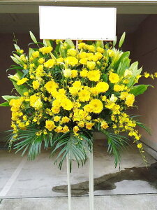 RT-ST1-0043@CG[n@X^h1i@jEJXEaEEV[[Ef[Ȃǂ̌jɁISz\I15܂ł̂œzoGA܂Bi