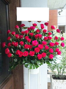 RT-ST1-0034@I[bh[Y@X^h1i@jEJXEaEEV[[Ef[Ȃǂ̌jɁISz\I15܂ł̂œzoGA