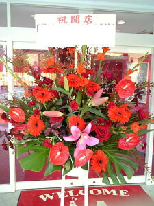 RT-ST1-0018@bhn@X^h1i@jEJXEaEEV[[Ef[Ȃǂ̌jɁISz\I15܂ł̂œzoGA܂Bi