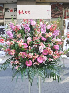 RT-ST1-0021@sNn@X^h1i@jEJXEaEEV[[Ef[Ȃǂ̌jɁISz\I15܂ł̂œzoGA܂Bi