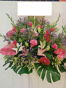 RT-ST1-0009@썑@X^h1i@jEJXEaEEV[[Ef[Ȃǂ̌jɁISz\I15܂ł̂œzoGA܂Biꕔ