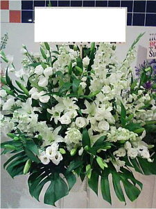 RT-ST1-0047@zCgnL@X^h1i@jEJXEaEEV[[Ef[Ȃǂ̌jɁISz\I15܂ł̂œzoGA܂Bi